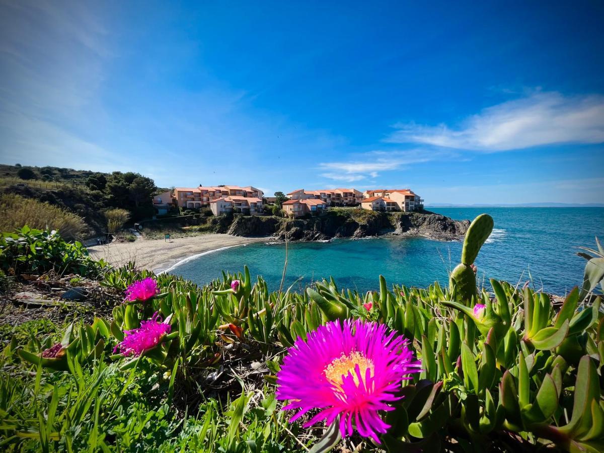 Chez Caro Apartment Port Vendres ภายนอก รูปภาพ